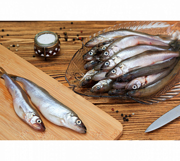 Фото Корюшка Енисейская свежемороженая 20+